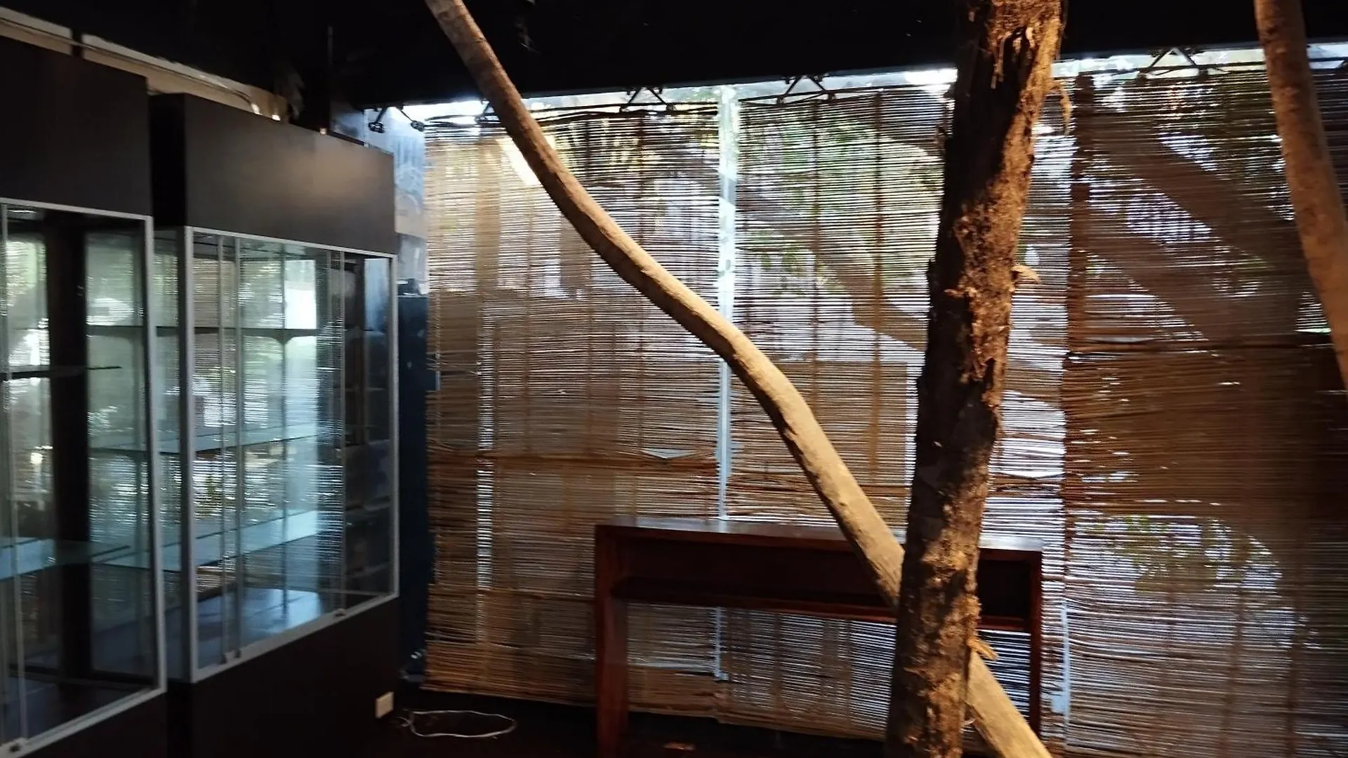 Hotel Free Style Tulum